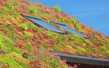 Gosberton Clough living roof systems